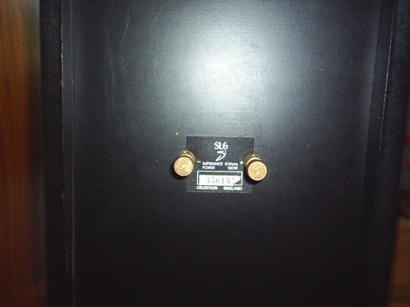 celestion5.jpg